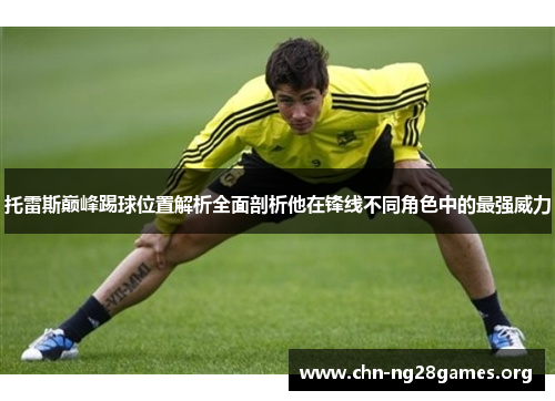 托雷斯巅峰踢球位置解析全面剖析他在锋线不同角色中的最强威力